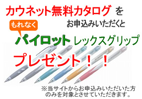 �p�C���b�g���b�N�X�{�[���y���v���[���g�I�I